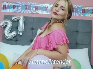 Antonellatender