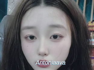 Antoniaava