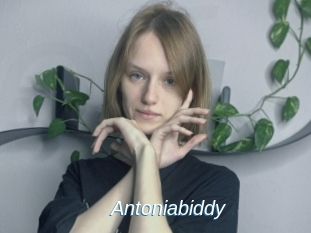 Antoniabiddy