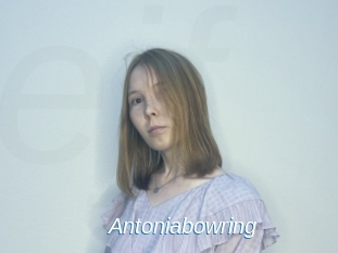 Antoniabowring