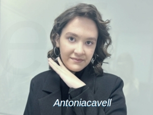 Antoniacavell