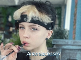 Antoniachasey
