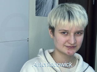 Antoniacowick