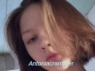 Antoniacrammer
