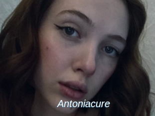 Antoniacure