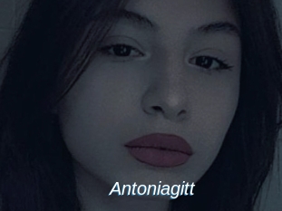 Antoniagitt