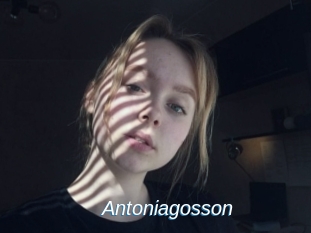 Antoniagosson