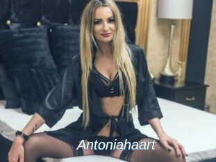 Antoniahaart