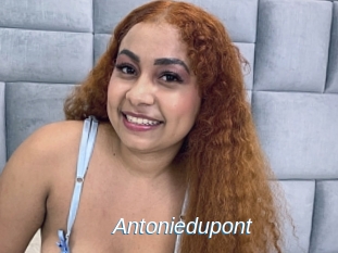 Antoniedupont
