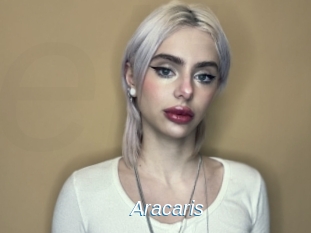 Aracaris