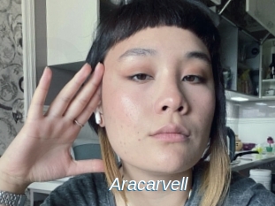 Aracarvell