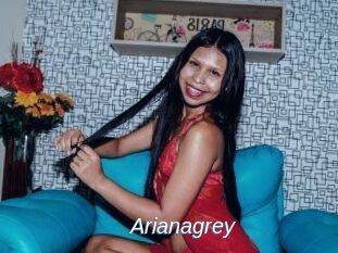 Arianagrey