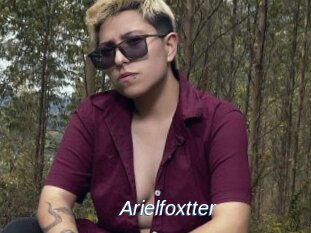 Arielfoxtter
