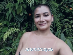 Artemiznayak
