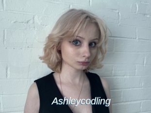 Ashleycodling