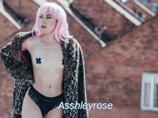 Asshleyrose