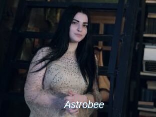 Astrobee