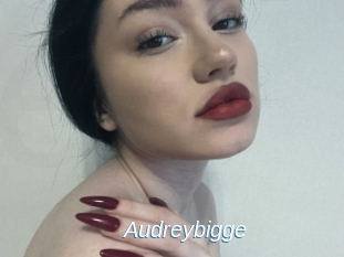 Audreybigge