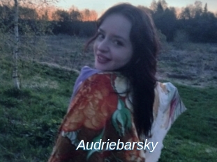 Audriebarsky