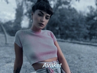 Avakat