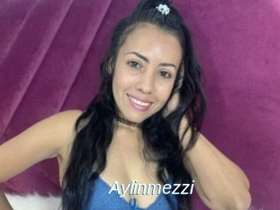 Aylinmezzi