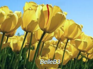 BelleB3