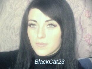 BlackCat23