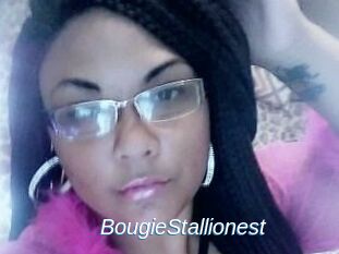 BougieStallionest