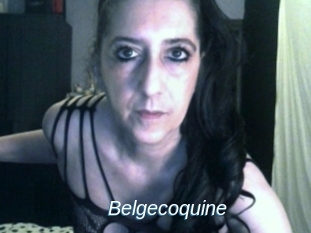 Belgecoquine