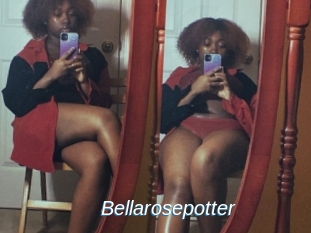 Bellarosepotter