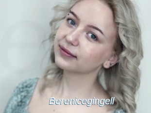 Berenicegingell