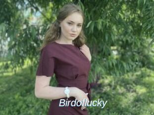 Birdoflucky