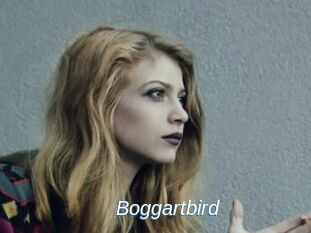 Boggartbird