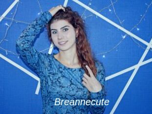 Breannecute