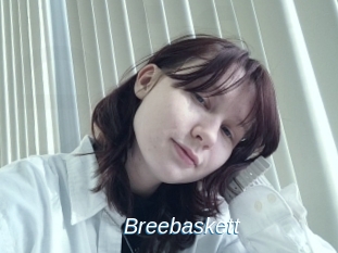 Breebaskett