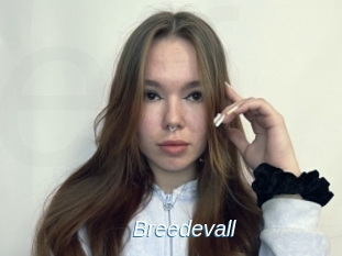 Breedevall