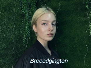 Breeedgington