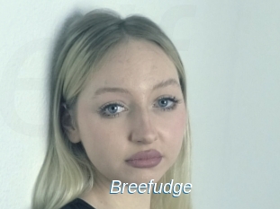 Breefudge
