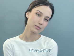 Breeganet