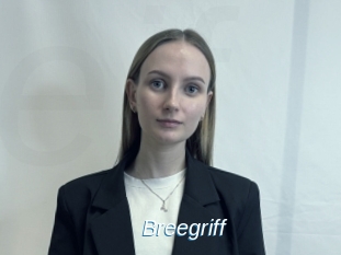 Breegriff
