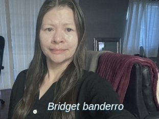Bridget_banderro