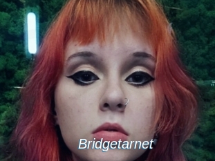 Bridgetarnet