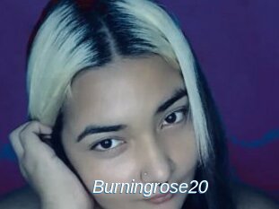 Burningrose20