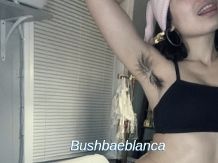 Bushbaeblanca