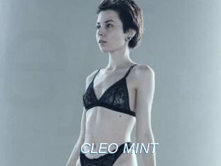 CLEO_MINT