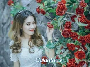 Calanthas