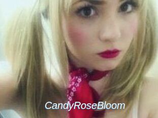 CandyRoseBloom