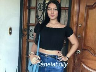 Canelaholly