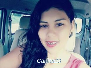Carlina23