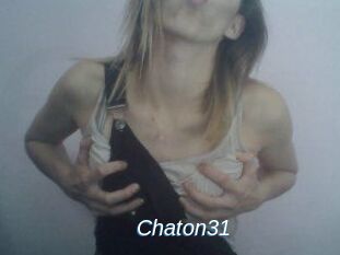 Chaton31